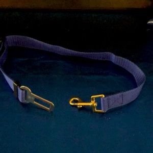 Pet-seat belt— hooks into seatbelt and dog collar